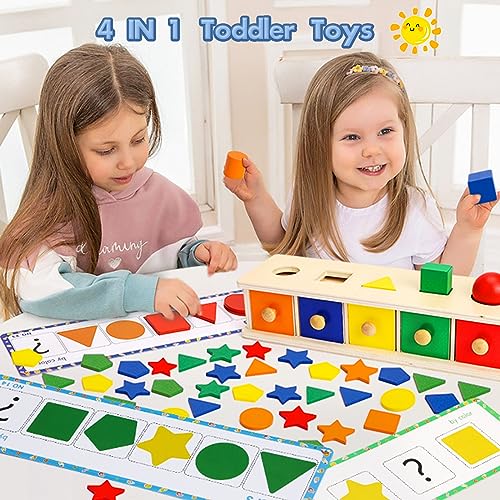 Montessori Toys Wooden Color & Shape Sorter Toys for Toddlers 1-3 Matching Box Sorting Blocks Manipulatives Preschool Learning Activities Educational Peacurh