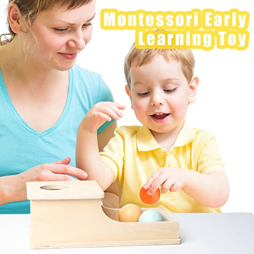 Busy edition Montessori Toys Object Permanence Box Soft Sound Wooden Color Baby Ball Drop Play for 6 Month 1 2 3 Year Old Toddlers Infant Early Age