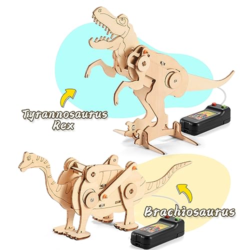 Dinosaur STEM Kits for Kids Ages 6-8-10-12, 4 in 1 Stem Projects, Wood Building Toys for Boys Age 8-12, Build It Yourself Woodworking Kit, DIY 3D