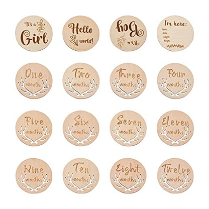 Pandahall 16pcs Baby Monthly Milestone Cards from Newborn to 1 Year Wooden Newborn Photo Card Props Pregnancy Journey Milestone Markers for Baby Girl - WoodArtSupply