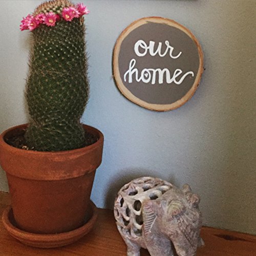 Uchida 480-C-0 Broad Point Tip Bistro Window Chalk Marker, White, 1 Count (Pack of 1) UCHIDA