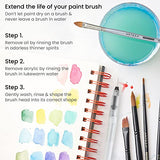 Arteza Water Brush Set of 6 - Fine, Medium & Broad Tips, Self-moistening, Portable, Perfect for Aquarelle & Watercolor Painting and Watercolors ARTEZA