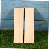 NOLITOY 10pcs Plank Board Wood Boards for Crafts Unfinished Wood Plaques Craft Wood Rectangular Blocks Carving Basswood Photo Backdrop Board NOLITOY