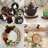 Natural Wood Slices 32 Pcs 2.75-3.14 Inches Unfinished Craft Wood kit Predrilled with Hole Wooden Circles Tree Slices for Arts and DIY Crafts MSDADA