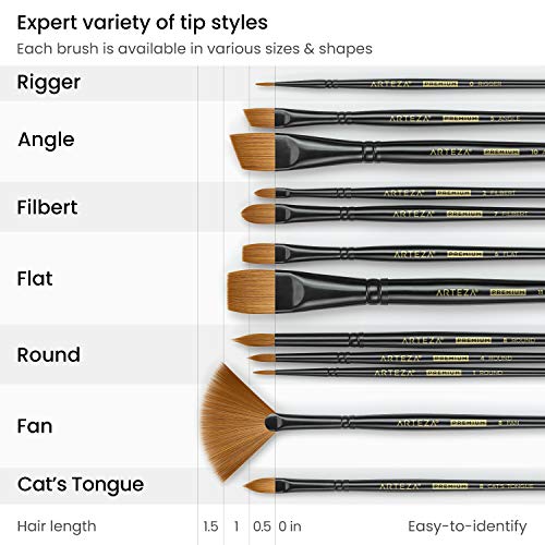 Arteza Paint Brushes, Set of 12, Premium Synthetic Acrylic & Oil Paint Brushes with Brass Ferrules & Wooden Birch Handles, Painting Art Supplies for - WoodArtSupply