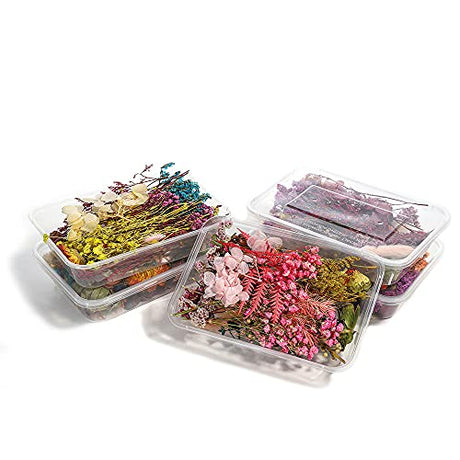 AGCFABS 1 Box Random Real Dried Flower Resin Mold Fillings UV Expoxy Flower for Epoxy Resin Molds Jewelry Making Craft DIY Accessories (Random) AGCFABS