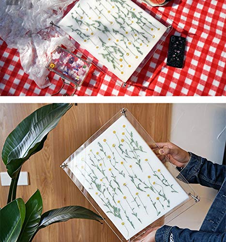 Wooden Flower Press Kit, Leaf Press, Nature Plant Press Set, Fruit Pressing Kit, Wooden Art Kit for DIY Art Handcraft (6.3x8.3inch/16x21cm) LIXINDEE