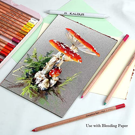 KALOUR Pro Pastel Chalk Colored Pencils,Set of 50 Colors,Color Charcoal Pencils for Drawing Sketching Coloring Shading,Art Supplies for Adults KALOUR