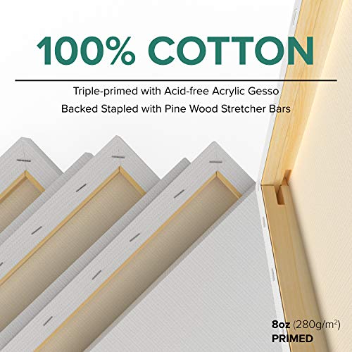 GenCrafts Stretched White Canvas Multi Pack - 5x7, 8x10, 9x12, 11x14 (2 of Each) Set of 8 - Triple Primed - 100% Cotton - for Acrylic, Oil, Other Wet - WoodArtSupply