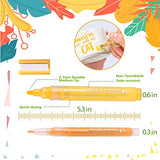 LANRENWENG Acrylic Paint Marker Pens 60 Color Painting Markers for Christmas Rock Painting with Canvas Bag, Stone, Ceramic, Glass, Wood, Fabric, LANRENWENG