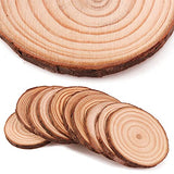 Coadura Unfinished Natural Wood Slices 30Pcs 2.4-2.8 Inch Round Wood Discs for Crafts Wood Christmas Ornaments,Wedding Centerpieces Paintings DIY Coadura