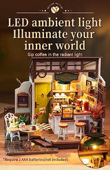 Rowood Miniature House Kit,Tiny House Kits to Build to Live in,DIY Wooden Crafts for Adults,Mini Model Kits with LED,Birthday for Teens(NO.17 Cafe) RoWood