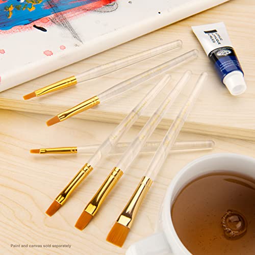 Royal & Langnickel Royal Zip N' Close Gold Taklon Clear Acrylic Handle Shader 6-Piece Brush Set Royal & Langnickel