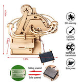 Marble Run 3D Wooden Puzzle for Adults and Teens,DIY Model Kit,Educational Jigsaw Puzzles Building Toys, STEM Projects Science Experiments Runs on auryee