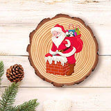 HOZEON 8 PCS 8-9 Inches Natural Wood Slices, Smooth Rustic Unfinished Wood Slices, Wood Slices for Crafts, Arts, Wedding Decoration, Christmas, HOZEON