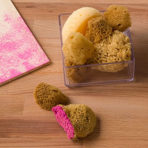 Artist Sponges Natural & Synethic by Craft Smart, 8 Pieces Craft Smart