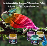 BALTIC DAY 100 Colors - 10 Chameleon Mica Powder for Epoxy Resin 10g/Bottle - Resin Colorant for Lip Gloss, Soap Making, Candle, Nail, Bath Bomb, BALTIC DAY