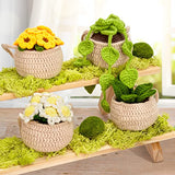 Karsspor Crochet Kit for Beginners - 4 PCS Hanging Potted Plants, Beginner Crochet Kit for Adults with Easy to Follow Tutorials (Patent Product) Karsspor