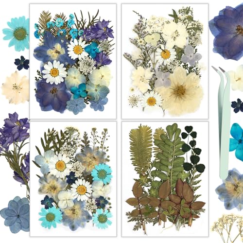 Resiners 100Pcs Dried Pressed Flowers for Resin Molds, Blue Real Natural Dried Flowers Dry Leaves kit for Scrapbook Supplies Card Making Resin Resiners