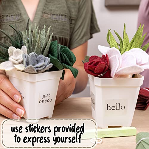 Hapinest Make Your Own Potted Felt Succulents | DIY Arts and Crafts Kit for Adults, Teens and Kids Girls Ages 6 7 8 9 10 11 12 Years Old and Up | Art Hapinest