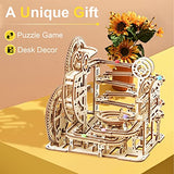 Hallisun 3D Wooden Puzzles for Adults, Rollercoaster Marble Maze Run Model DIY Building Kits Block Craft, Mechanical Gear Kit Hobbies Toys Valentines Hallisun