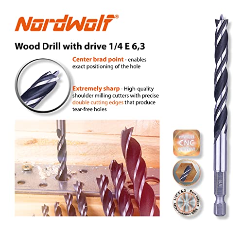 NordWolf 12-Piece Brad Point Wood Drill Bit Set for Carpenter Woodworking, Double Flutes Design with 1/4" Hex Shank, SAE Sizes 1/8" to 1/2" - WoodArtSupply