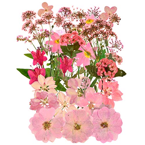 37pcs Natural Dried Flowers Mixed Multi-Color Pressed Flower Mini Rose Hydrangea Daisy for Art Craft DIY Resin Nail Art Floral Decors - WoodArtSupply