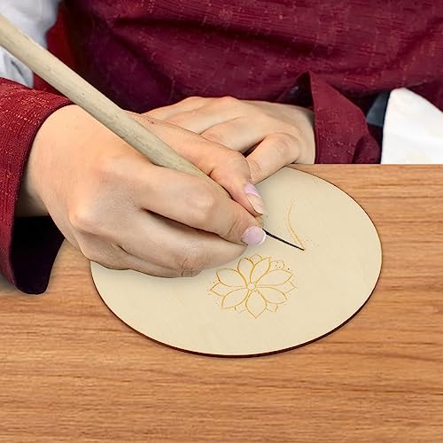 40 PCS 7.9 Inch Wood Circles, Thickness 2.5 mm Unfinished Wood Circles, Plywood Circles, Craft Unfinished Wood Discs for DIY Crafts, Door Hanger,