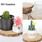 CYEAH 10 Pcs Wood Slices, 5.5-6.5 Inch Unfinished Natural Wood Slice Wooden Rounds for Crafts, Solid Wood Slices with Bark, Wood Centerpieces for CYEAH