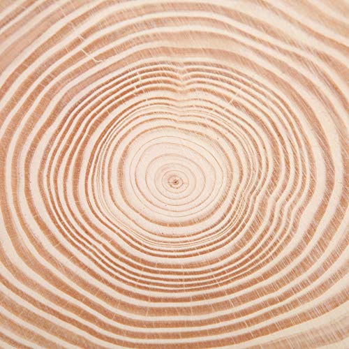 Large Natural Wood Slices, Unfinished Round Wood Discs Wooden Circles for Arts with Bark for Crafts, Centerpieces, Paintings(22.5x23) HERCHR