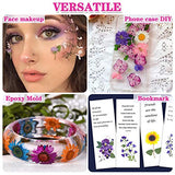 170Pcs+ Real Dried Pressed Flowers Leaves Petals for Crafts-Beautiful Pressed Flowers Daisies for Resin Jewellery, Pressed Flowers Nail Pendant Vignee