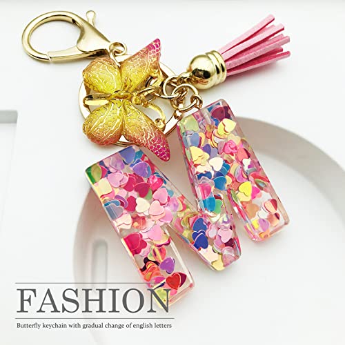 JINGUAZI Initial letter Keychains for Women Tassel Butterfly Pink Cute Car Keychain for Wallet Purses Backpack (Pink M) JINGUAZI