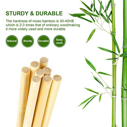 30PCS Wooden Dowel Rods, 1/4 x 12 Inch Round Unfinished Bamboo Dowel Rods, Wood Crafts Sticks Doweling Rods for Crafts and DIYers Arts Projects