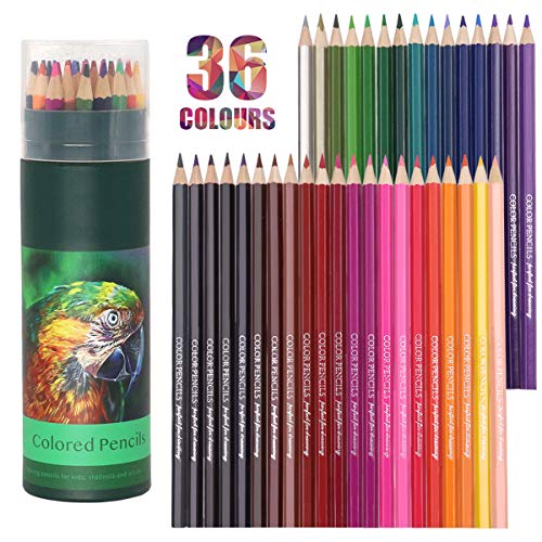 YOOUSOO Colouring Pencils,36 Pcs Professional Coloured Pencils Drawing Pencils, Oil-based Artist Pencil Set, No Wax, Ideal for Sketching, Doodling,