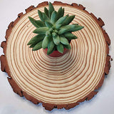 Natural Wood Slices Round Pine Wood Slabs 5 Pack Round Rustic Woods Slices 9"-11" Rustic Tree Bark Slice Weathered Log Disc Outdoor Country Barn BESTWD