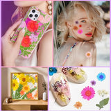 96Pcs Dried Flowers for Resin, Bulk Natural Dried Pressed Flowers,for Scrapbooking DIY Art Crafts Resin Accessories, Soap,Candle Making, Nails Decor, Kaddmedia