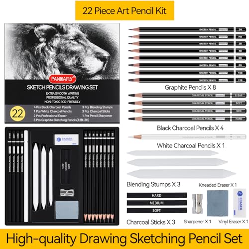 PANDAFLY Drawing Sketching Pencil Set, 22 Piece Pro Art Pencil Kit - Graphite Pencils (12B-2H), Black and White Charcoal Pencils, Charcoal Sticks, PANDAFLY