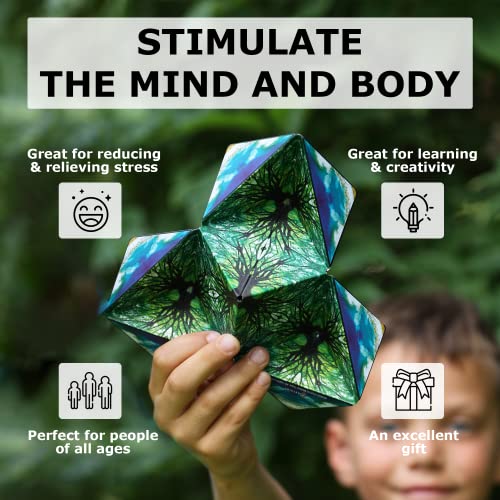 SHASHIBO Shape Shifting Box - Award-Winning, Patented Fidget Cube w/ 36 Rare Earth Magnets - Transforms Into Over 70 Shapes, Download Fun in Motion Shashibo