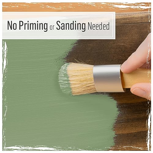 FolkArt Home Décor Chalk 8 fl oz Greens Kit, Including 2 Ultra Matte 2 Piece, 96416 Paint and Brush Set FolkArt