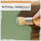 FolkArt Home Décor Chalk 8 fl oz Greens Kit, Including 2 Ultra Matte 2 Piece, 96416 Paint and Brush Set FolkArt