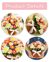 BAZIMA DIY Felt Flower Art Craft Kit, DIY Felt Daisy Pot Bonsai Kit, 33 Daisies ,Floral Gifts,Beginner Craft Kit,Arrange Pre-Cut Felt Flowers and BAZIMA ALICE