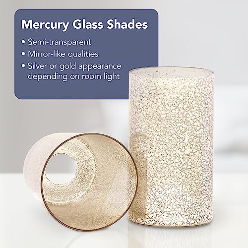 Elk Home Diffusion 4-Light Chandelier - in Oil Rubbed Bronze Finish, with Beige Organza with Mercury Glass Inner Shade, Transitional Style Elk Home