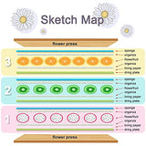 WANDIC Four Leaf Clover Flower Press Kit, Wooden Art Kit Plant Press Book Flower Fruit Press Kit for DIY Art Handicrafts Specimens Outdoor Learning WANDIC