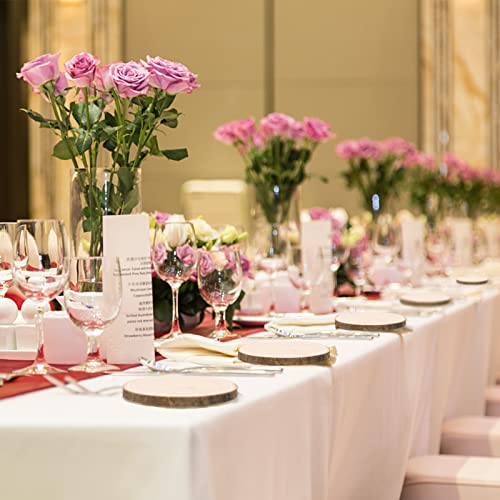 FORACKS Natural Round Wood Slices 6 Pack 8-9 inches Unfinished Wood kit Circles DIY Crafts Wood Ornament Discs FORACKS