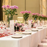 FORACKS Natural Round Wood Slices 6 Pack 8-9 inches Unfinished Wood kit Circles DIY Crafts Wood Ornament Discs FORACKS