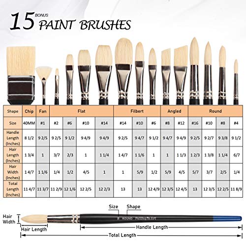 Falling in Art Natural Bristle Professional Paintbrush Set, 15PCS Long Handled Paint Brushes for Acrylic Painting, Oil Paint Brushes of Fan, Round, Falling in Art