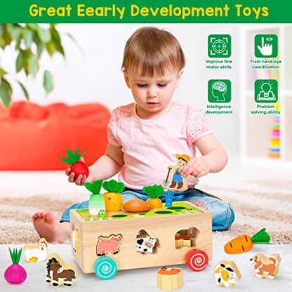 Toddlers Montessori Toys for 2,3,4 Year Old Baby Boys and Girls, Educational Wooden Shape Sorting Toys with Vegetables & Farm Animals Blocks, Fine