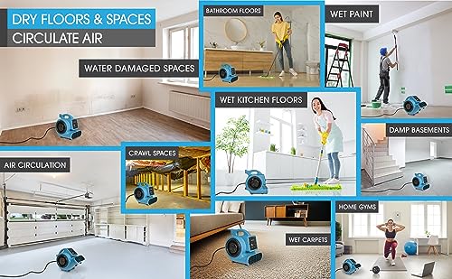 PURAERO Mini Air Mover | Carpet Dryer and Blower Fan | High-Velocity Floor Fan for Crawlspaces, Attics, Basements, Bathrooms | 1/5 HP 800 CFM | Water PURAERO