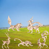3D Wooden Puzzles Animal Model - Collectibles Wooden Model Kits for Adults Desk Display Gift for Boys/Girls(5 pcs) (Animal Model) yii wmoc