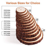 Fuyit Wood Slices 8 Pcs 5.5-6 Inches Unfinished Natural Tree Slice Wooden Circle with Bark Log Discs for DIY Arts and Craft Rustic Wedding Christmas Fuyit